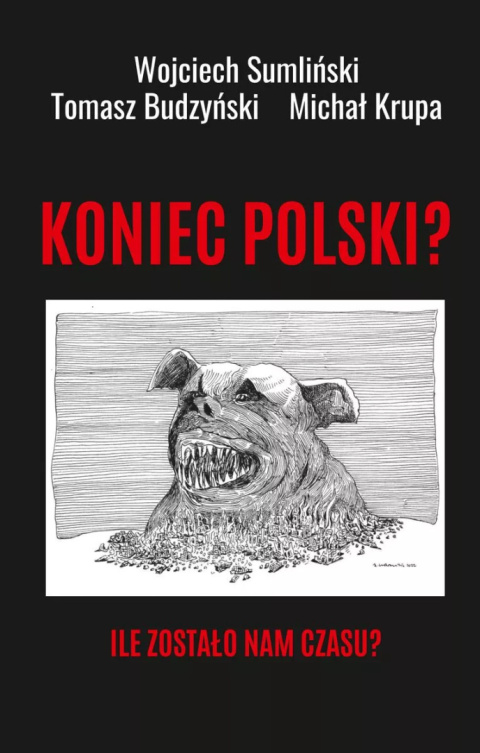 Koniec Polski? Ile zostało nam czasu? - Wojciech Sumliński, Tomasz Budzyński, Michał Krupa